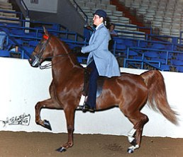 Pride Of Ridgefield 1980 Foal Crop Details